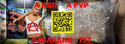 стафф Донской
