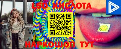 стафф Донской