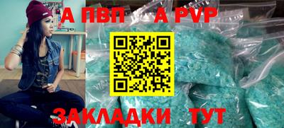 стафф Донской