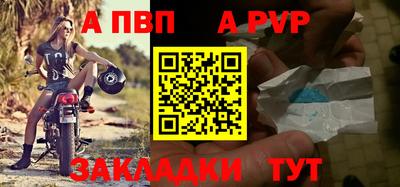 стафф Донской