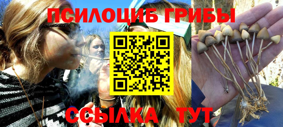 Галлюциногенные грибы ЛСД Шатура